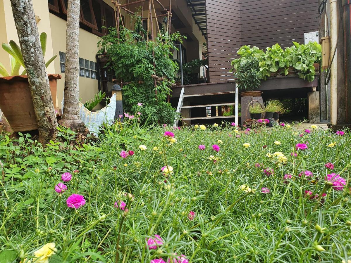 Ritzy House Hotel Chumphon Exteriér fotografie